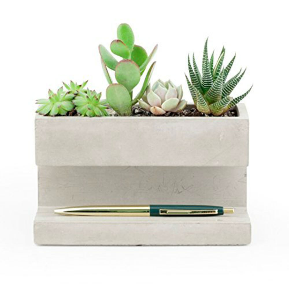 Kikkerland concrete desktop planter adds amazing look to your office