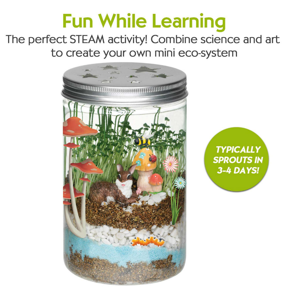 Terrarium kit for kids