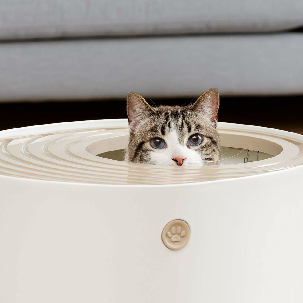 No More Messy floor With This Cat Litter Box