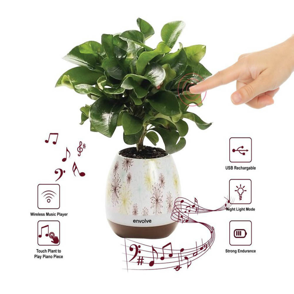 Magical Plant Piano Pot with Wireless Bluetooth Speaker