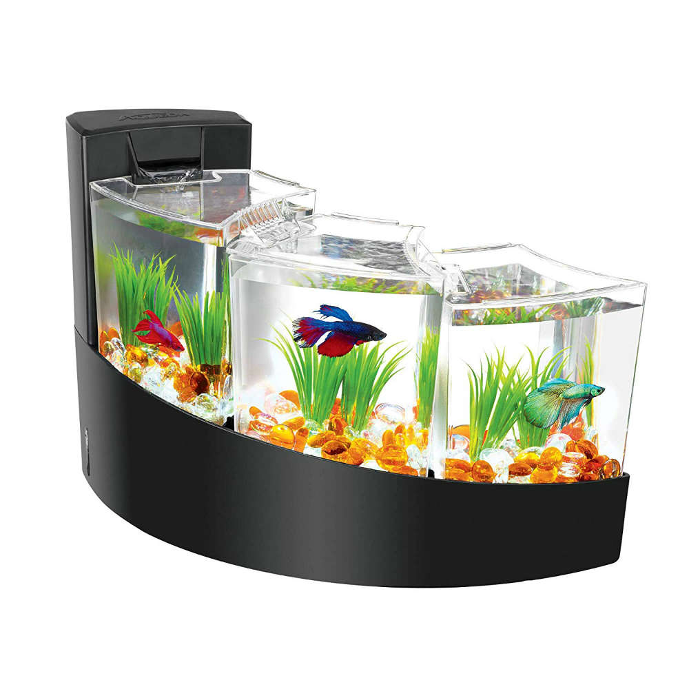 Compartmental Betta Waterfalls Kit Adds Life To Your Living Room