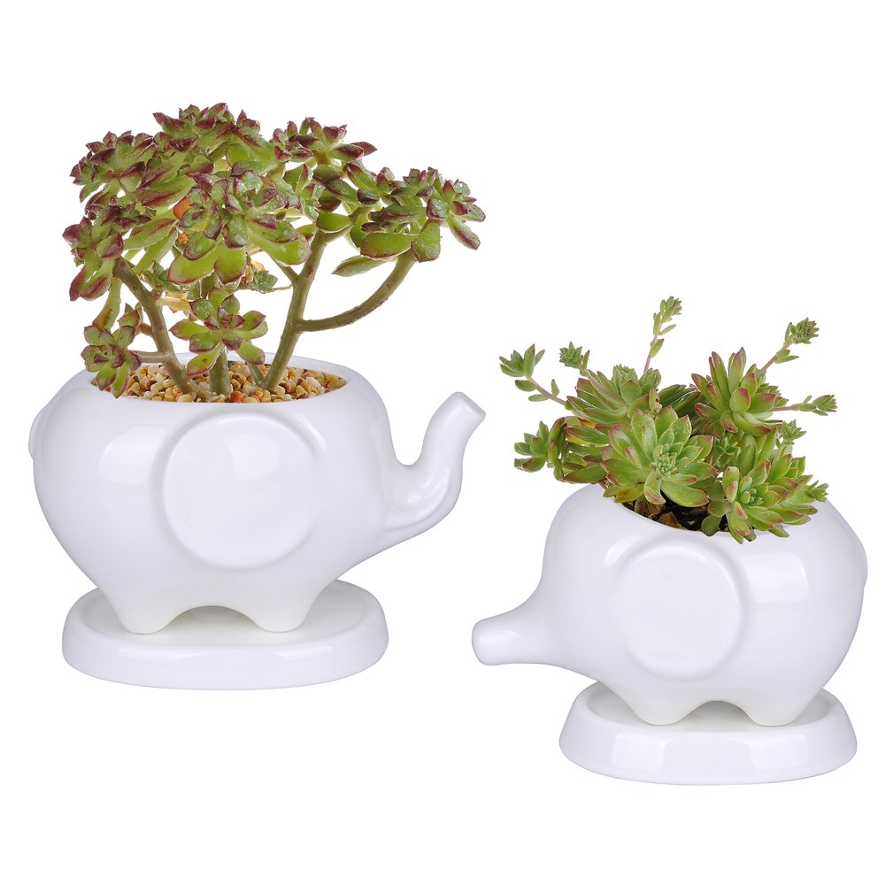 Ceramic Flower Pot that Perfectly Decorates Your Home