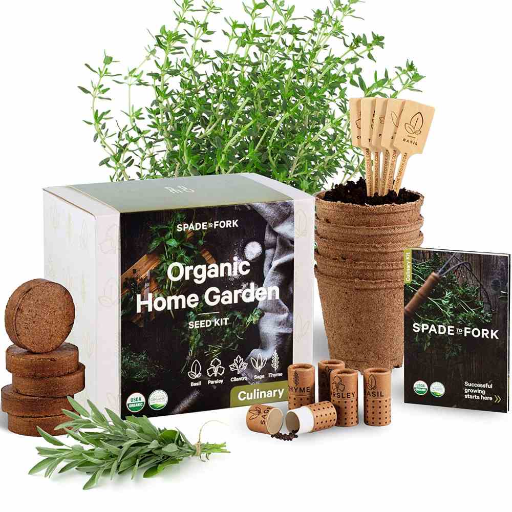 Herb Garden Starter Kit that Ensures You Have Healthy Herbs