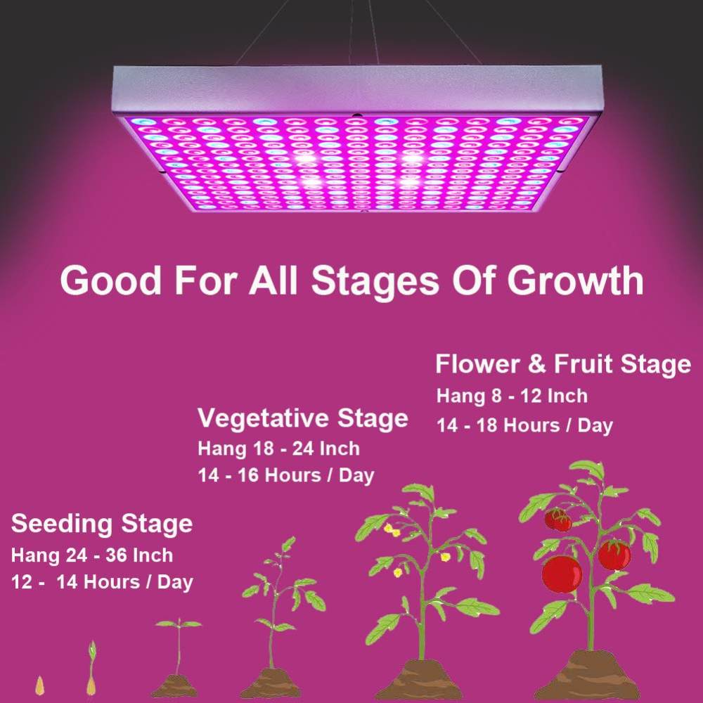 LED Grow Light that Helps Your Indoor Plants Grow Properly