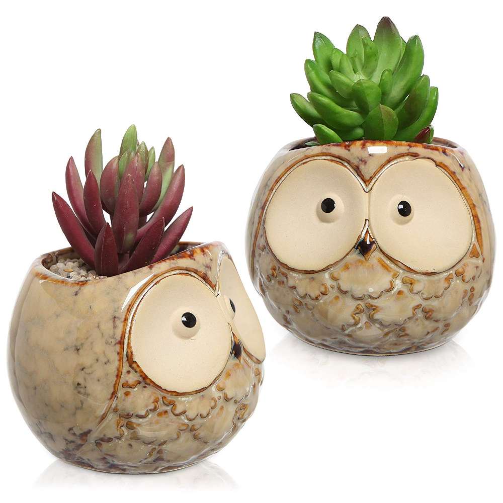 Mini Ceramic Plant Pots with Owl Face