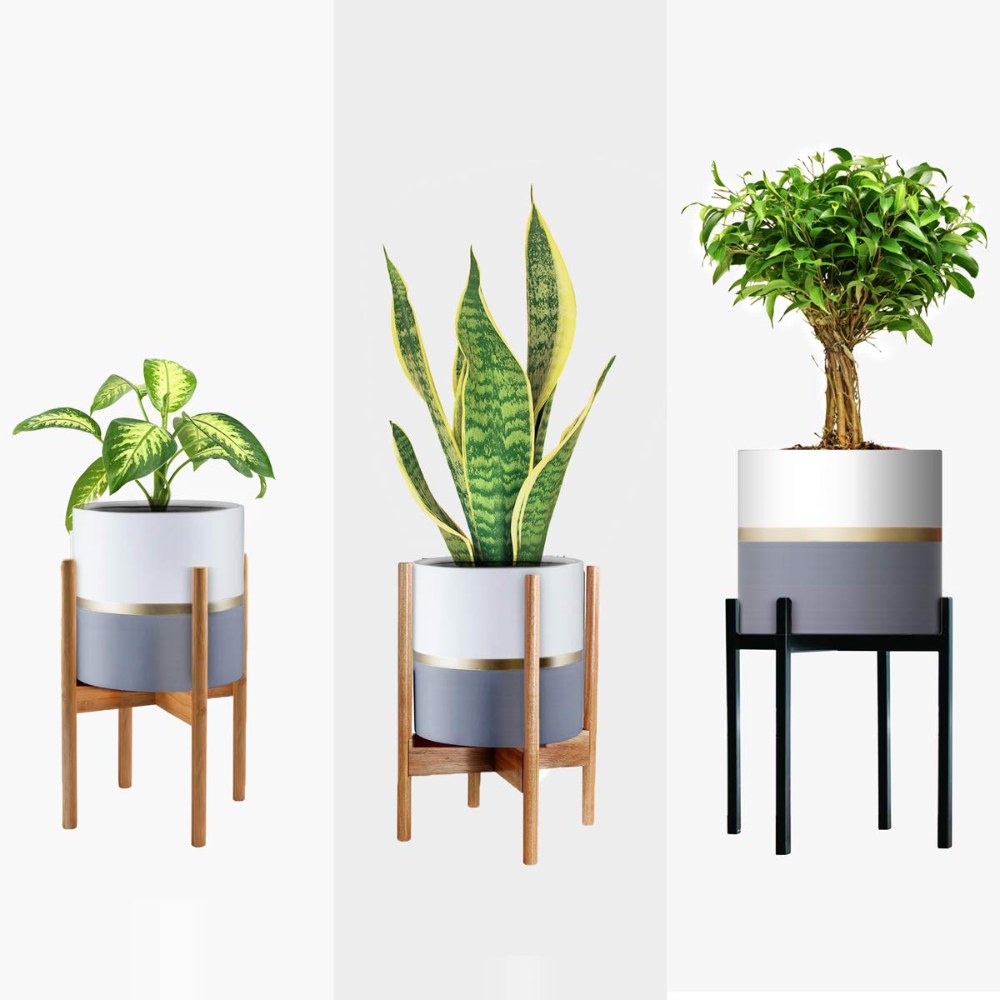 Modern Large Planter that Decorates Your Room Perfectly