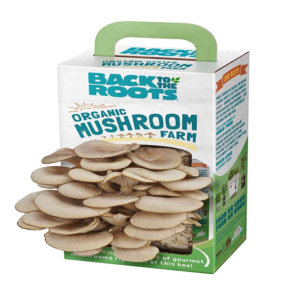 Organic Mushroom Grow Kit for Your Own Healthy Food