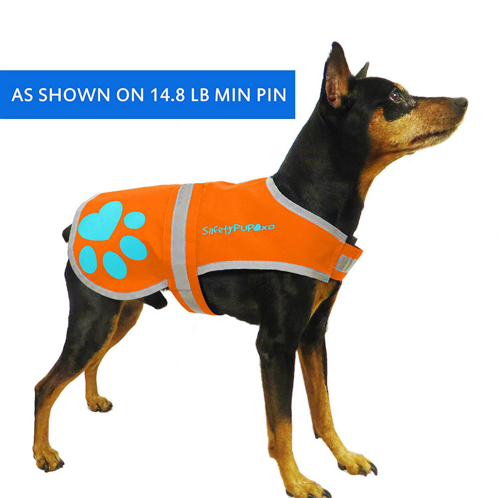 SafetyPUP XD Fluorescent Dog Vest