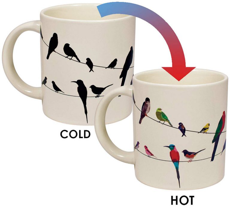 Heat Changing Mug that Changes Color Viral Gads