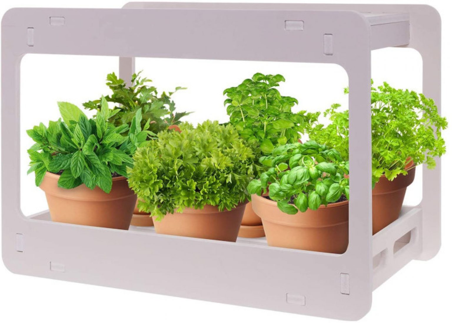 Best Indoor Herb Garden Kit for your Favorite Herbs - Viral Gads