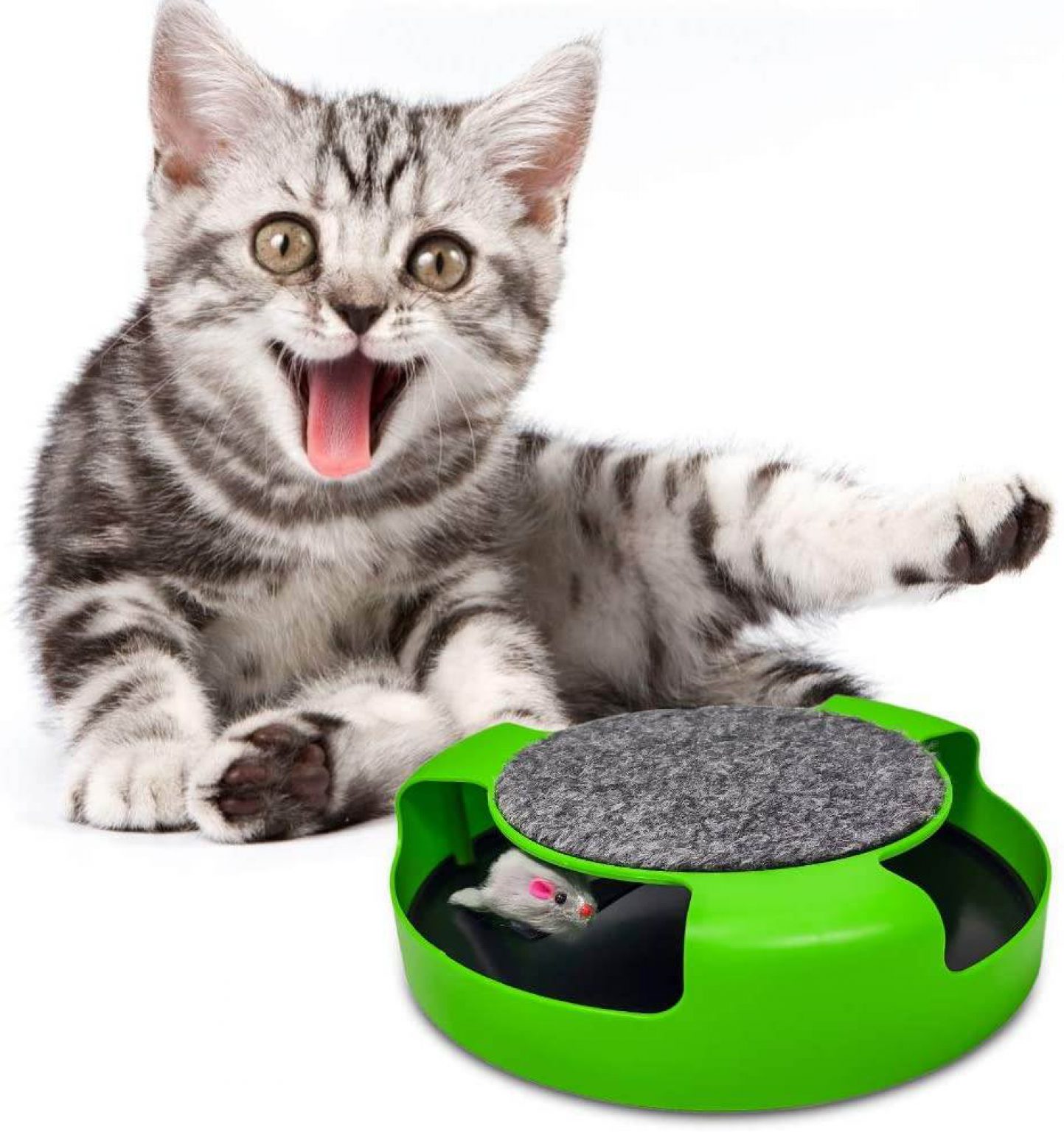 toys to keep cats busy during the day