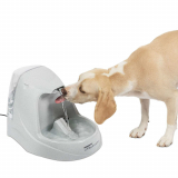 An Innovative Pet Water Fountain To Provide Clean Water for Cat & Dog