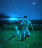 Max Glow Ball to Play with Your Dog or Cat