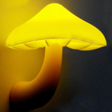 Get the Most Systematized LED light Control Night Light Corridor Lamp