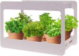 Best Indoor Herb Garden Kit for your Favorite Herbs