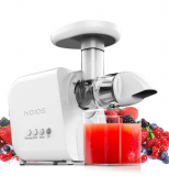 Masticating Juicer Machine With Reverse Function