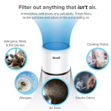 Air Purifier to Filter Out Odor Smoke, Dust Mold & Pets Hair