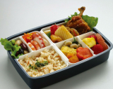 Food Safe Plastic Compartmental Bento Box