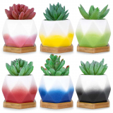 Succulent Planter Set With Drainage Hole And Bamboo Tray