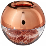 Luxury Rose Gold Paper Clips Holder with Magnetic Lid